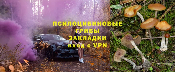 МДПВ Алзамай