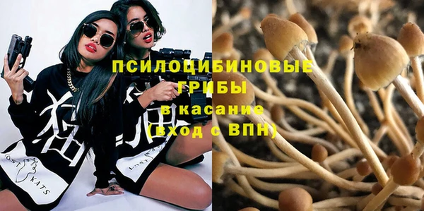 гашик Алексеевка