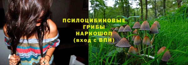 не бодяженный Алексин