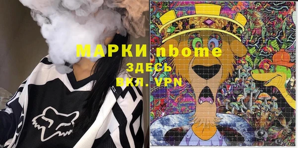 гашик Алексеевка