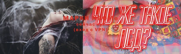 ГАЛЛЮЦИНОГЕННЫЕ ГРИБЫ Пересвет
