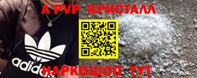 шишки Будённовск