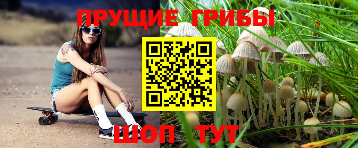 Камышин  Псилоцибиновые грибы мухоморы  Вход с VPN 
