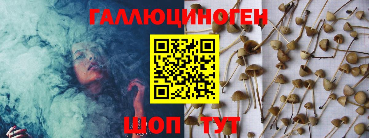 Галлюциногенные грибы мухоморы Камышин